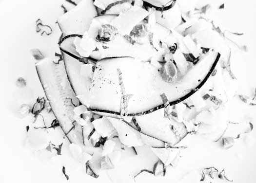 black and white photo of zucchine