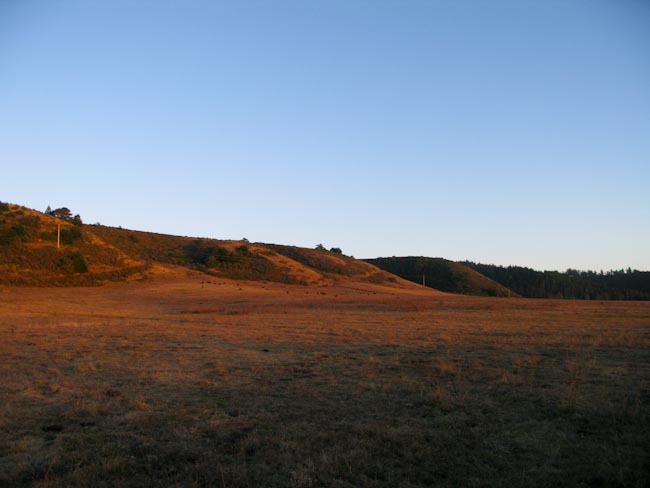 Hills of Anderson Valley just south of Mendocino-4446
