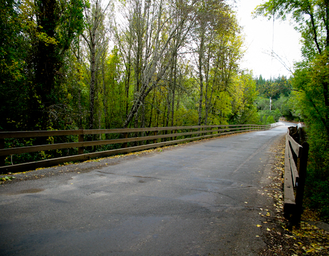 hi res bridge over navarro river-4563