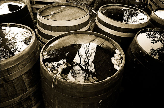 wine-barrels-with-water-and-reflections toned b&w photo of tops of wine barrels with rain water