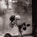 JosefSudekLastRoses1956 Still Life by Josef Sudek